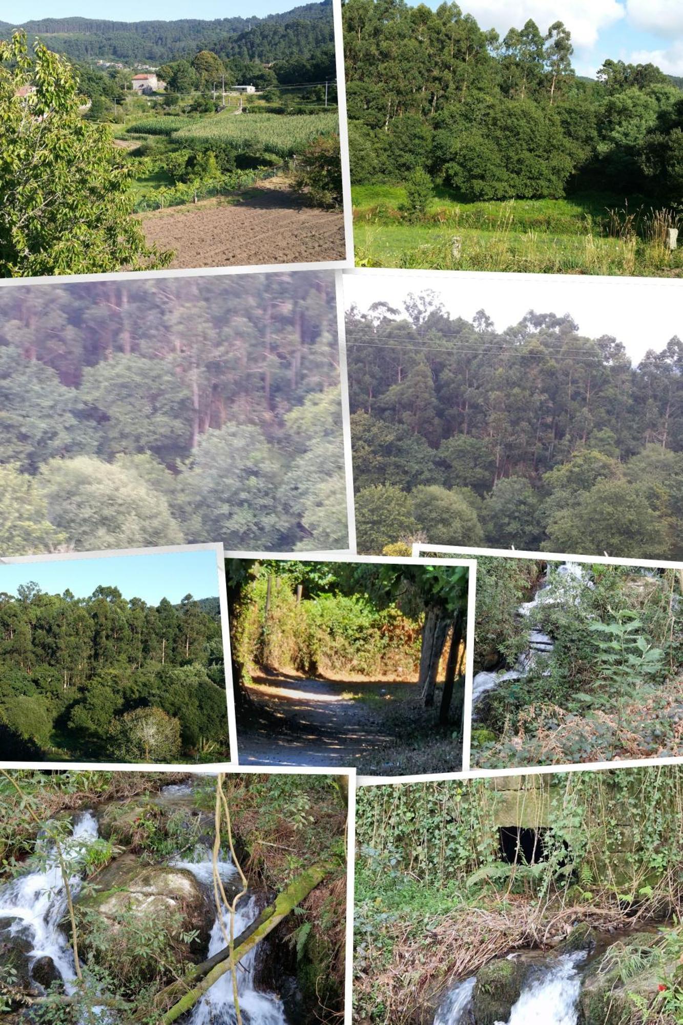 Villa Campo Das Medas , En Medio De La Naturaleza Con Piscina Privada De Sal Gondomar Extérieur photo